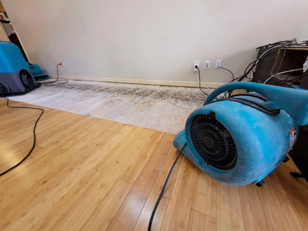 Professional Water Extraction technician working in Anna Maria, FL